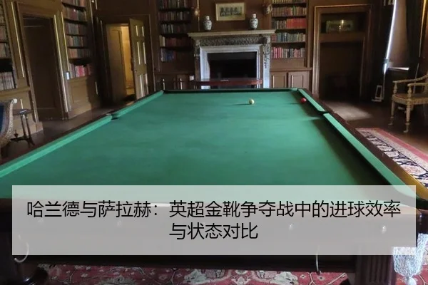 ha-lan-de-yu-sa-la-he-ying-chao-jin-xue-zheng-duo-zhan-zhong-de-jin-qiu-xiao-lv-yu-zhuang-tai-dui-bi-2-351.jpg