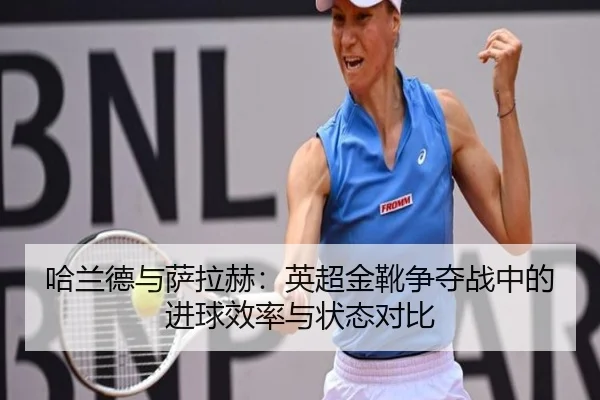 ha-lan-de-yu-sa-la-he-ying-chao-jin-xue-zheng-duo-zhan-zhong-de-jin-qiu-xiao-lv-yu-zhuang-tai-dui-bi-3-226.jpg