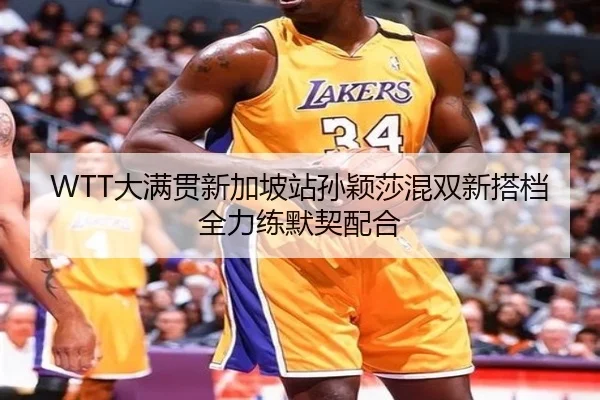 da-man-guan-xin-jia-po-zhan-sun-ying-sha-hun-shuang-xin-da-dang-quan-li-lian-mo-qi-pei-he-3-291.jpg