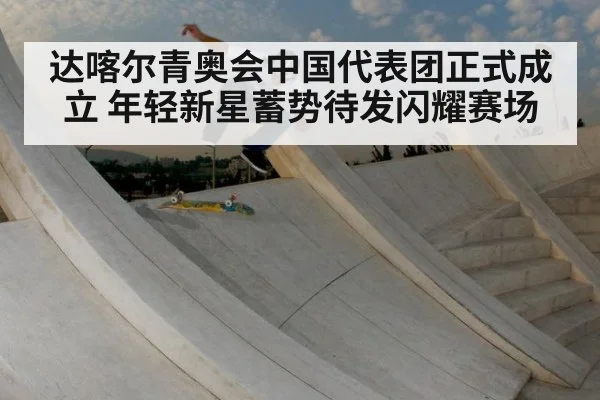 达喀尔青奥会中国代表团正式成立 年轻新星蓄势待发闪耀赛场